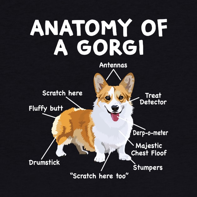 Anatomy of a Corgi by Wakzs3Arts